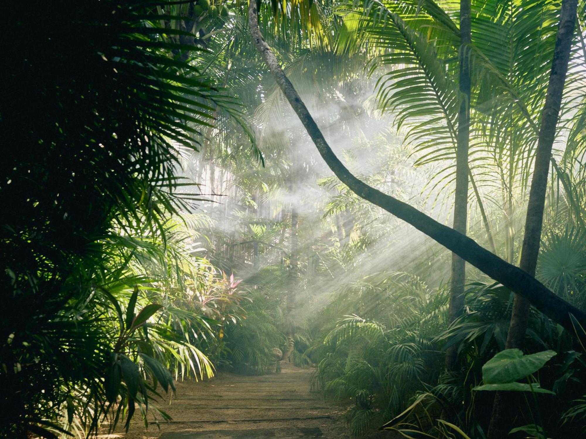 Be Tulum Beach & Spa Resort (Adults Only) Eksteriør bilde